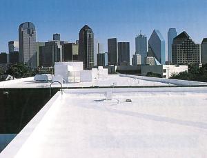 roof1.jpg