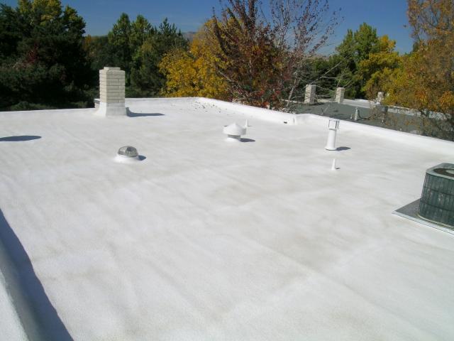 roof2.jpg