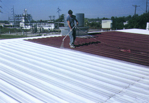 roof3.gif